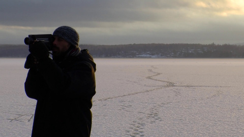 No cow in the ice No cow in the ice