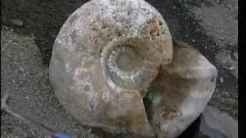 Cementerio de fósiles gigantes de amonites Cementerio de fósiles gigantes de amonites