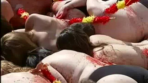 Protesta antitaurina Protesta antitaurina