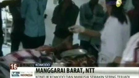 Dragón de Komodo mata en Indonesia a un pescador Dragón de Komodo mata en Indonesia a un pescador