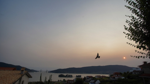 Cielo cubierto de humo en la Ría de Vigo, a 26 de junio de 2023, en Vigo, Pontevedra. Cielo cubierto de humo en la Ría de Vigo, a 26 de junio de 2023, en Vigo, Pontevedra.