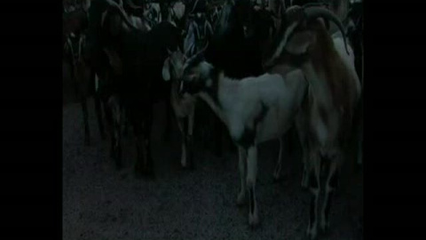 El extraño - Víctor Moreno El extraño - Víctor Moreno