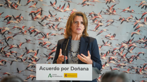 La ministra de Transición Ecológica y Reto Demográfico, Teresa Ribera, durante la rueda de prensa por el acuerdo del protocolo del Parque Nacional de Doñana, a 27 de noviembre de 2023, en Huelva. La ministra de Transición Ecológica y Reto Demográfico, Teresa Ribera, durante la rueda de prensa por el acuerdo del protocolo del Parque Nacional de Doñana, a 27 de noviembre de 2023, en Huelva.