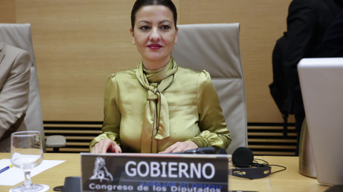 La ministra de Juventud e Infancia, Sira Rego, comparece en el Congreso de los Diputados, a 24 de enero de 2024. La ministra de Juventud e Infancia, Sira Rego, comparece en el Congreso de los Diputados, a 24 de enero de 2024.