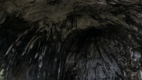 Cova de les Gralles Cova de les Gralles