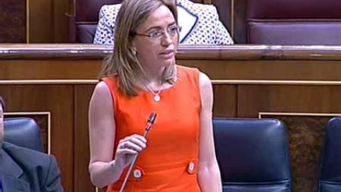 Chacón apela a la "dignidad" del Gobierno frente a la "cobardía" del PP Chacón apela a la "dignidad" del Gobierno frente a la "cobardía" del PP