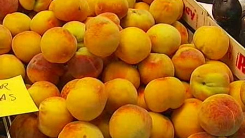 Verduras y frutas favorecen la calidad del semen Verduras y frutas favorecen la calidad del semen
