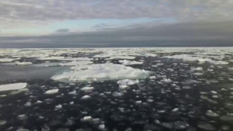 Casi todos los glaciares del mundo están perdiendo masa, según un estudio publicado en la revista científica Nature Casi todos los glaciares del mundo están perdiendo masa, según un estudio publicado en la revista científica Nature