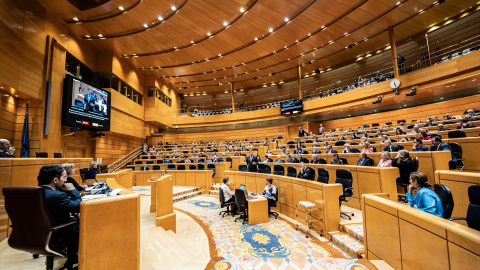 Senado Senado