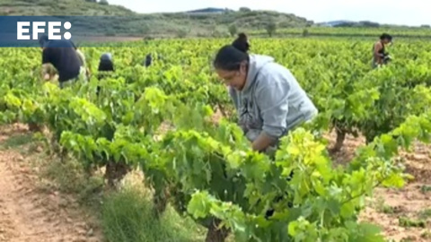 El mercado laboral gana 539.740 afiliados en 2023, con la menor cifra de paro desde 2007 El mercado laboral gana 539.740 afiliados en 2023, con la menor cifra de paro desde 2007