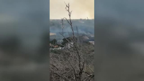 Los ganaderos de La Palma también necesitan ayudas Los ganaderos de La Palma también necesitan ayudas
