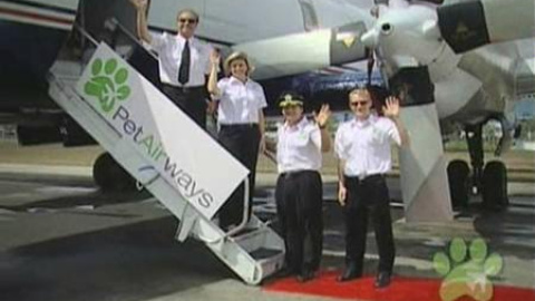 Pet Airways, la aerolínea para mascotas Pet Airways, la aerolínea para mascotas