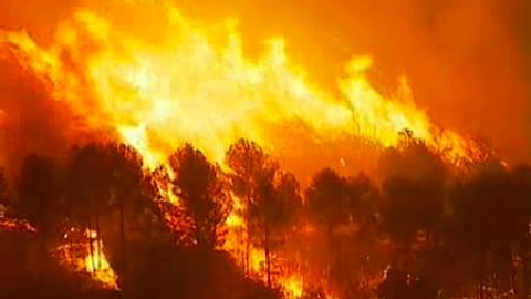 En 2009 ha ardido ya casi el doble de hectáreas que en 2008 En 2009 ha ardido ya casi el doble de hectáreas que en 2008