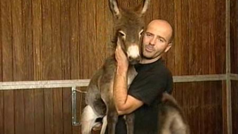 Vacaciones diferentes para los que se quedan en Madrid Vacaciones diferentes para los que se quedan en Madrid