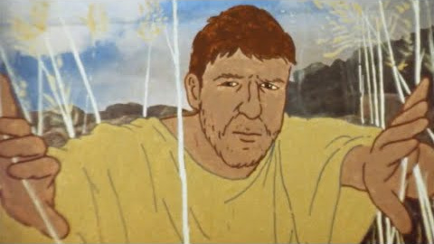 Les actuacions musicals de la gala