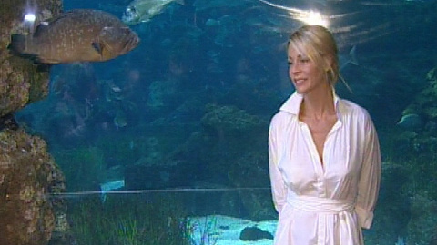 Belen Esteban presenta Oceanworld 3D Belen Esteban presenta Oceanworld 3D