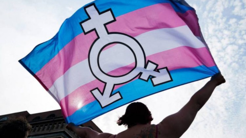Una persona ondea una bandera trans. Una persona ondea una bandera trans.