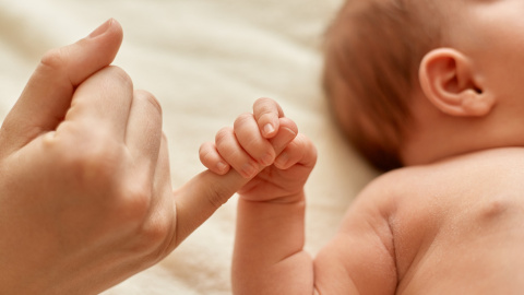 La mano de un bebé agarra la de un adulto (Archivo) La mano de un bebé agarra la de un adulto (Archivo)