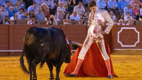 Imagen de archivo de una novillada en Sevilla, Andalucía. Imagen de archivo de una novillada en Sevilla, Andalucía.