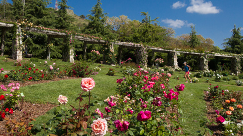 Parc de Cervantes de Barcelona.