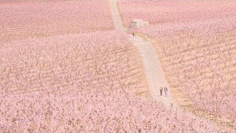 El Fruiturisme d'Aitona El Fruiturisme d'Aitona