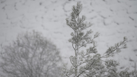 nieve Cantabria nieve Cantabria