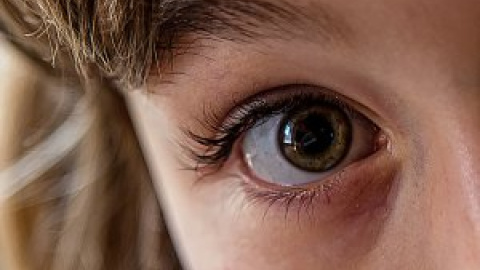 En las pupilas está el sexto sentido del número En las pupilas está el sexto sentido del número