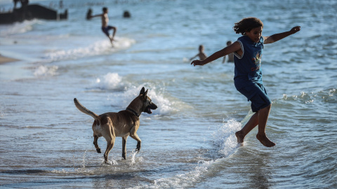 Escena de playa en la que un niño juega con su perro. Escena de playa en la que un niño juega con su perro.