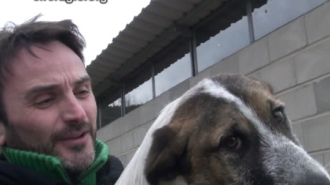 Fernando Tejero anima a adoptar mascotas Fernando Tejero anima a adoptar mascotas