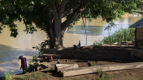 Vereda de Puerto Matilde, en el departamento de Antioquia, en la región del Madalena Medio (Colombia) Vereda de Puerto Matilde, en el departamento de Antioquia, en la región del Madalena Medio (Colombia)