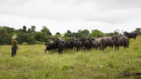 Espacio Territorial de Capacitación y Reincorporación (ETCR) en Caño Indio, municipio Tibú Espacio Territorial de Capacitación y Reincorporación (ETCR) en Caño Indio, municipio Tibú