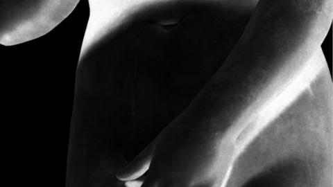 Imagen de archivo. Imagen de archivo.