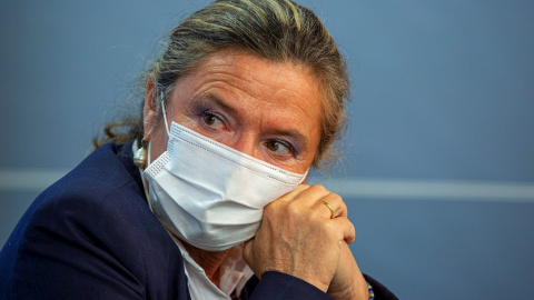 La consejera de Salud del Gobierno Vasco, Gotzone Sagardui. La consejera de Salud del Gobierno Vasco, Gotzone Sagardui.