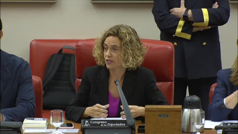 Batet expulsa de la Diputación Permanente a una diputada de VOX Batet expulsa de la Diputación Permanente a una diputada de VOX