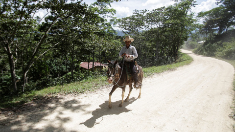 Un agricultor en una finca de El Laurel (Honduras). Un agricultor en una finca de El Laurel (Honduras).