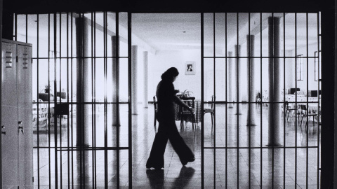 Una presa passa per davant d'una cel·la. Una presa passa per davant d'una cel·la.