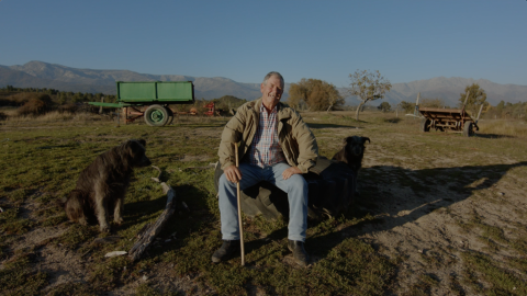 Campaña "Vive donde quieras". Correos Campaña "Vive donde quieras". Correos