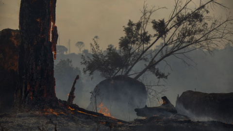Un bosque quemado en Altamira, estado de Pará, Brasil, en la cuenca del Amazonas. - JOAO LAET / AFP Un bosque quemado en Altamira, estado de Pará, Brasil, en la cuenca del Amazonas. - JOAO LAET / AFP