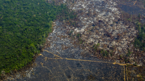 Vista aérea de la deforestación en la Reserva Biológica Nascentes da Serra do Cachimbo en Altamira, estado de Pará, Brasil. - JOAO LAET / AFP Vista aérea de la deforestación en la Reserva Biológica Nascentes da Serra do Cachimbo en Altamira, estado de Pará, Brasil. - JOAO LAET / AFP