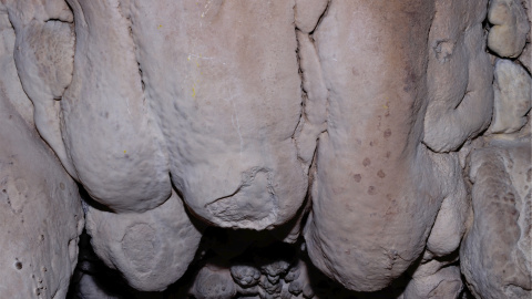 Restes d'art paleolític a la cova Simanya Gran Restes d'art paleolític a la cova Simanya Gran