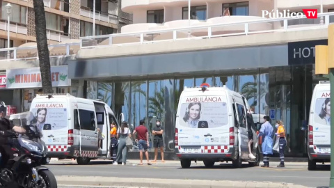 Las claves del macrobrote de Mallorca Las claves del macrobrote de Mallorca