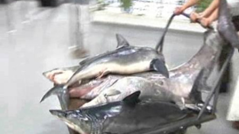 Vuelve la normalidad a la frontera entre Melilla y Marruecos Vuelve la normalidad a la frontera entre Melilla y Marruecos