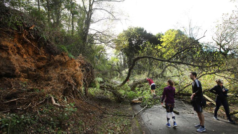 Un árbol caído impide el paso en un parque de Oviedo./ Alberto Morante (EFE)