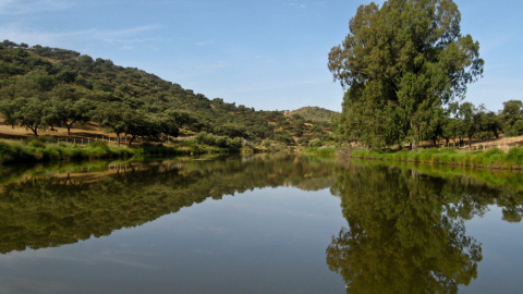 Río Guadalimar, afluente del Guadalquivir. Río Guadalimar, afluente del Guadalquivir.
