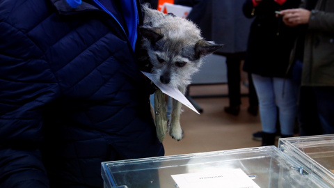 Algunos electores han acudido a la cita electoral con sus mascotas. / Reuters