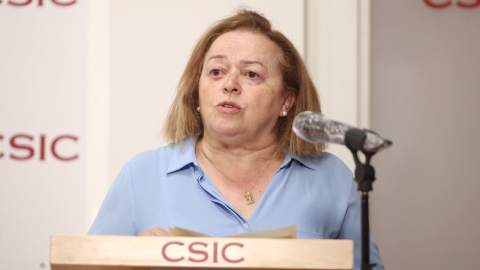 La presidenta del Consejo Superior de Investigaciones Científicas (CSIC), Rosa Menéndez La presidenta del Consejo Superior de Investigaciones Científicas (CSIC), Rosa Menéndez
