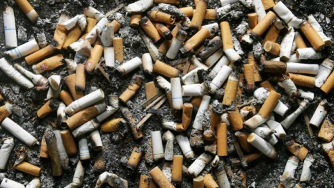 La naturaleza puede verse afectada por otros factores como los incendios provocados por las colillas mal apagadas / REUTERS La naturaleza puede verse afectada por otros factores como los incendios provocados por las colillas mal apagadas / REUTERS