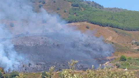 Un incendio forestal en la provincia de Ávila afecta a un importante yacimiento arqueológico Un incendio forestal en la provincia de Ávila afecta a un importante yacimiento arqueológico