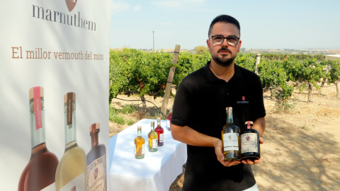 15/08/2024 - Marc Cuenca amb apolles de Marnuthem, reconegudes com el millor vermut del món. 15/08/2024 - Marc Cuenca amb apolles de Marnuthem, reconegudes com el millor vermut del món.