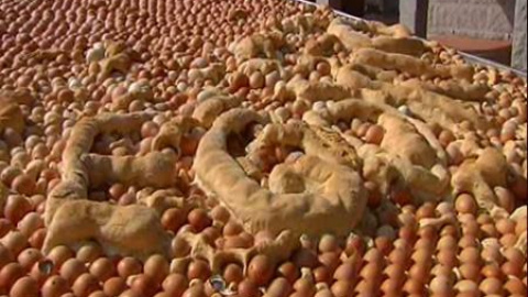 6.000 huevos para hacer un bollo gigante 6.000 huevos para hacer un bollo gigante